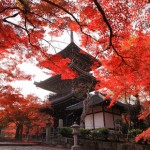 京都の紅葉名所 2013 見頃時期の予想は？