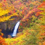 蔵王連峰の紅葉2013 見ごろ時期とおすすめスポット