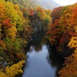 定山渓の紅葉2013 見ごろ時期とおすすめスポット