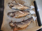 A 冷凍魚を解凍して、美味しい魚レシピを作る_html_5d407eb0
