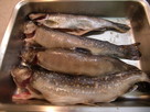 A 冷凍魚を解凍して、美味しい魚レシピを作る_html_4c724e16