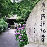 山口・阿弥陀寺あじさい祭り2014の見頃は？花供養はいつ？