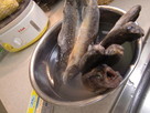 A 冷凍魚を解凍して、美味しい魚レシピを作る_html_64810549