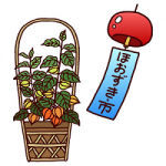浅草寺ほおずき市2014とは？由来と狙い目の時間帯、ほおずきの価格相場も！