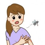 デング熱が日本に！？その症状と治療法、名前の由来は？