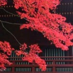 日光二荒山神社の紅葉2013 見ごろ時期とおすすめスポット