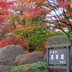 箱根の紅葉名所2013 見頃時期の予想は？