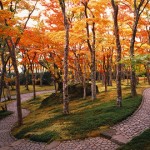 箱根美術館の紅葉2013 見ごろ時期とおすすめスポット