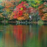 湯の湖の紅葉2013 見ごろ時期とおすすめスポット